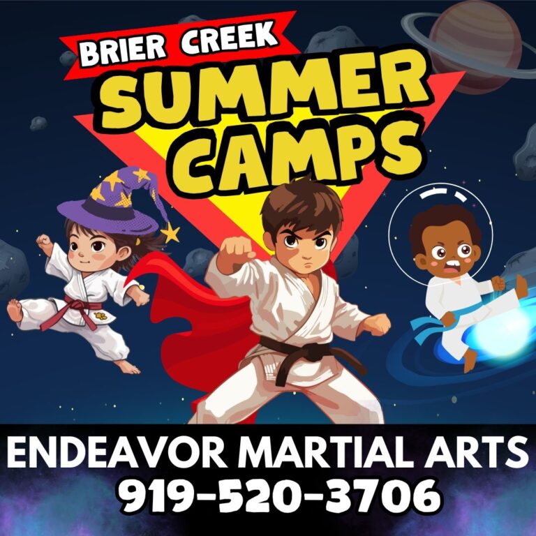 Instagram post from endeavormartialarts. This post is in position 2.